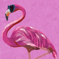 RealFunkyFlamingo