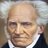 Arthur schopenhauer